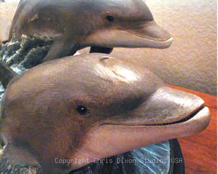 4 1 Dolphinsmiles450359dixon