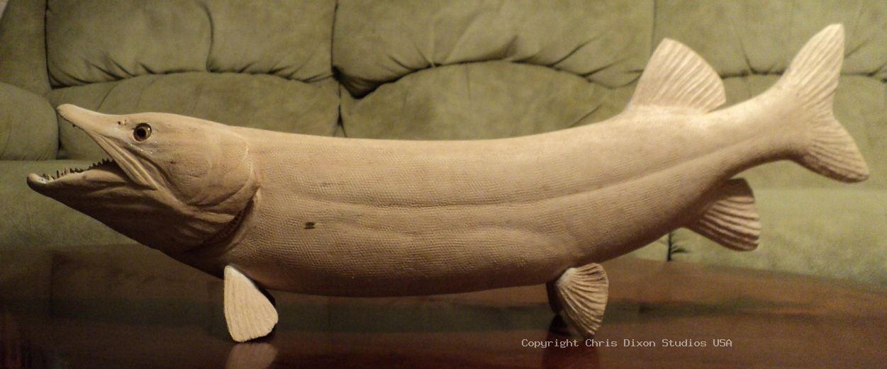Muskie Fish 087