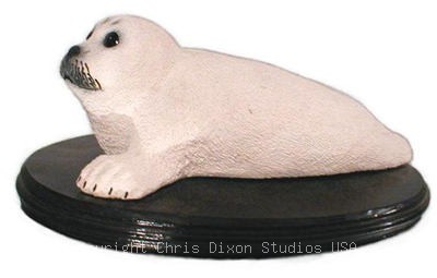9 1 Harp Seal Pup