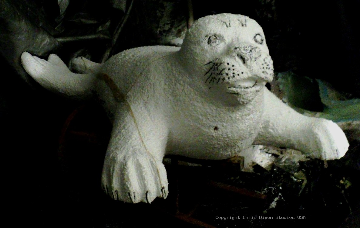 Harp Seal 22