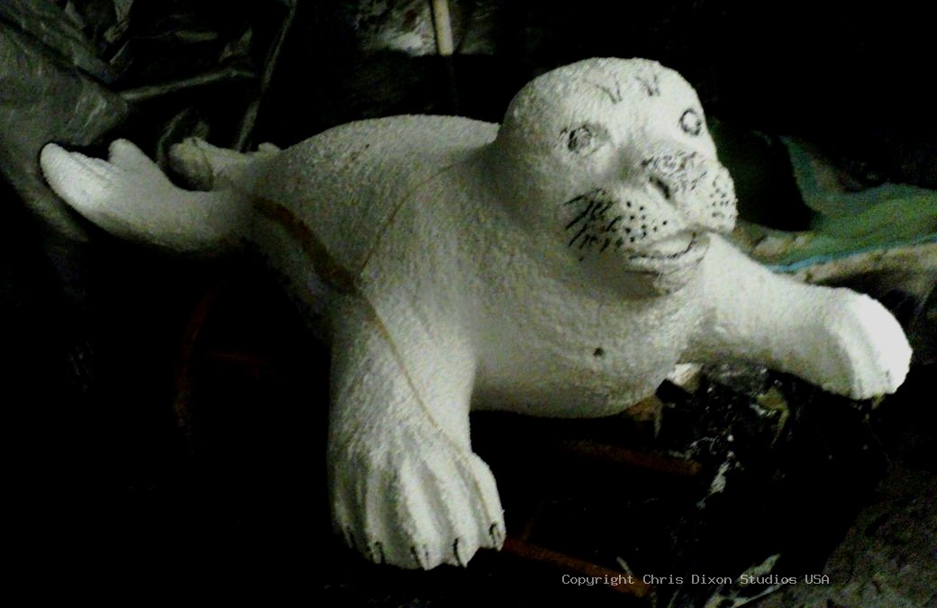 Harp Seal 23