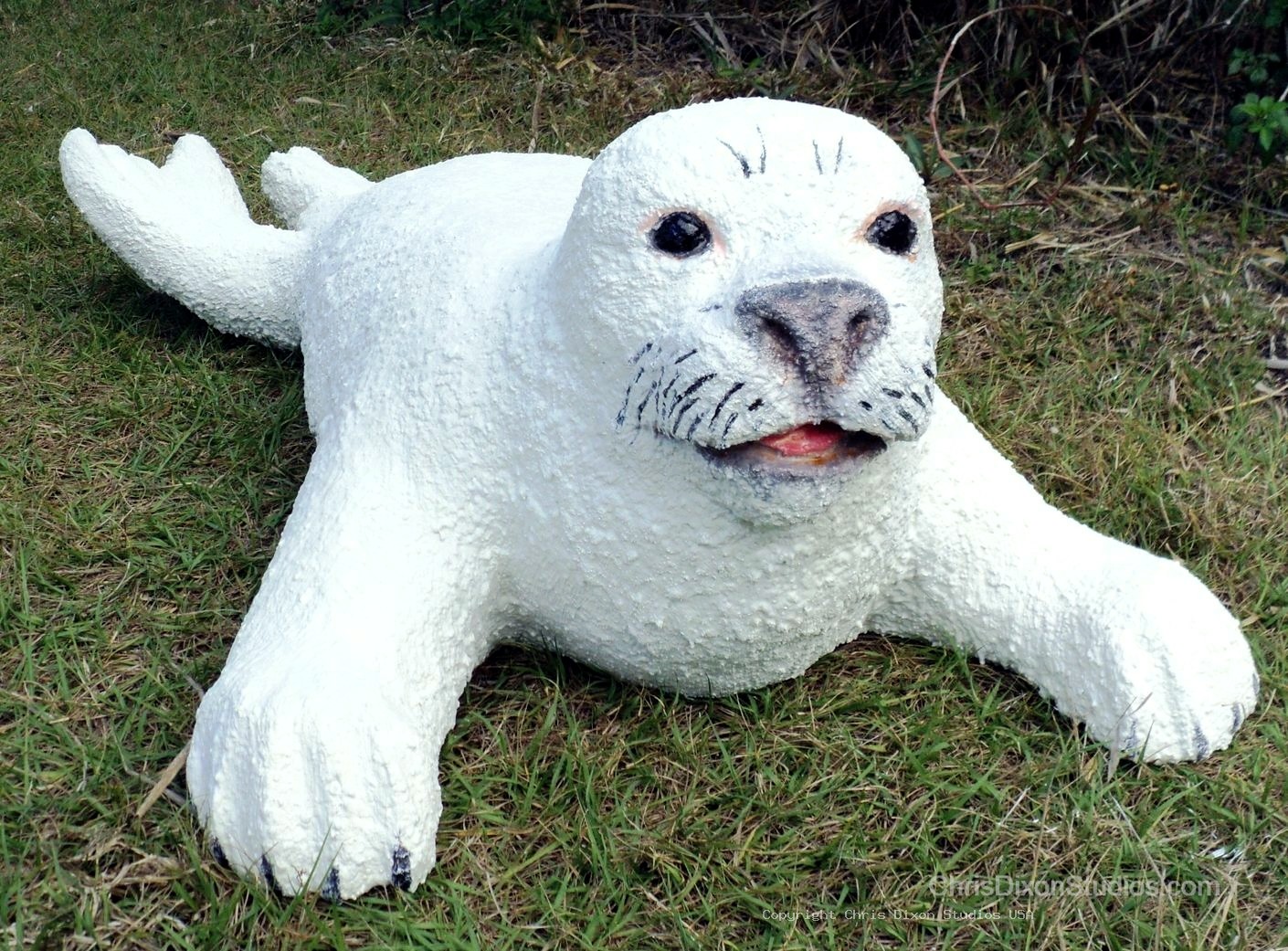 Harp Seal Lifesize
