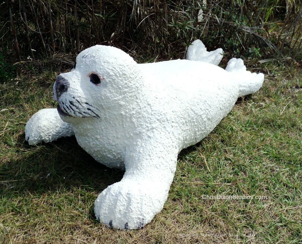 Harp Seal 930
