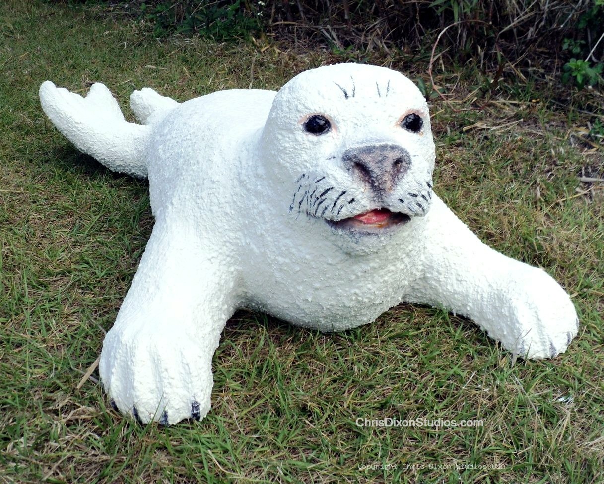 Harp Seal 936