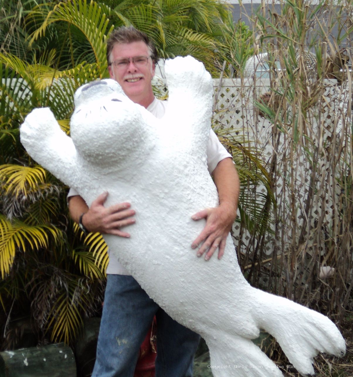 Harp Seal 943