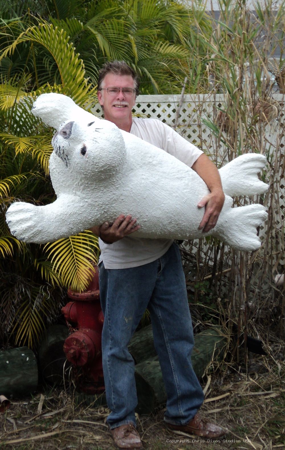 Harp Seal 945