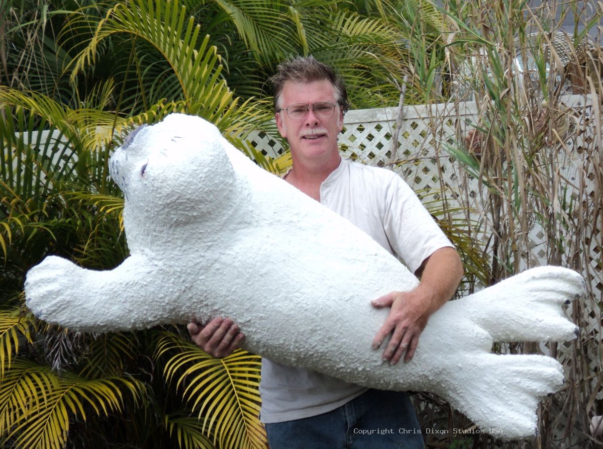 Harp Seal 948