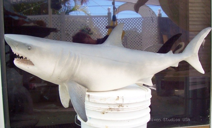 Shark Great White 3ft Primed