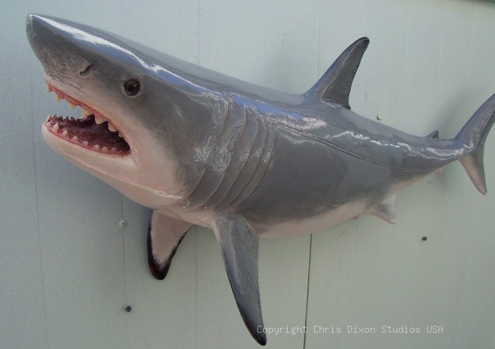 Shark Great White 3ft 1835