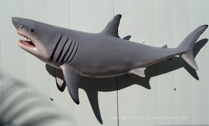 Shark Great White 3ft 1840