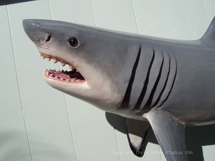 Shark Great White 3ft 1841
