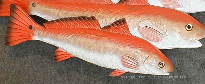 RED DRUM