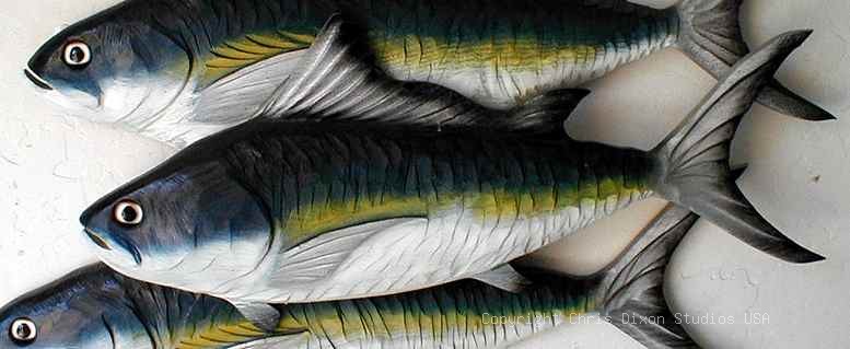 TUNA BLACKFIN 1