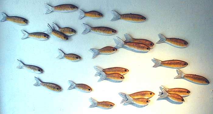 Bait Fish School