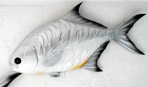 Pc Pompano Fish