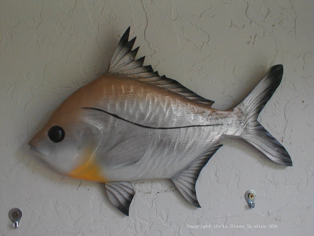 Sandbream Fish