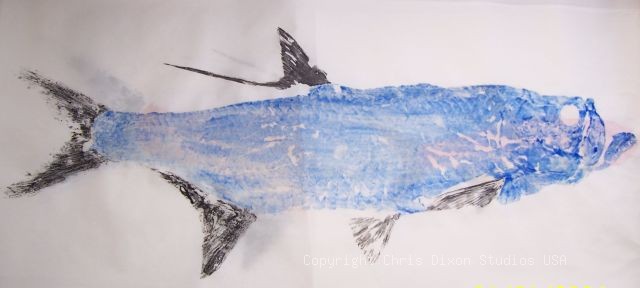 BTarpon Fishprints