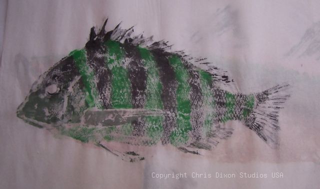Gr Sheepshead Fishprints