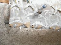 Fishforms