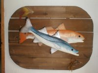 Snook Redfish Plaque