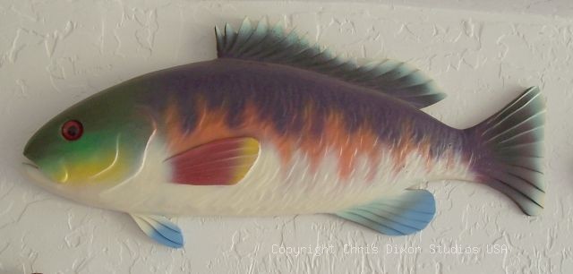 Atlantic Creole Woodenfish