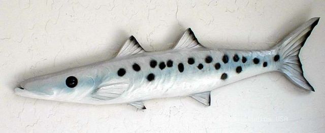 BARRACUDA