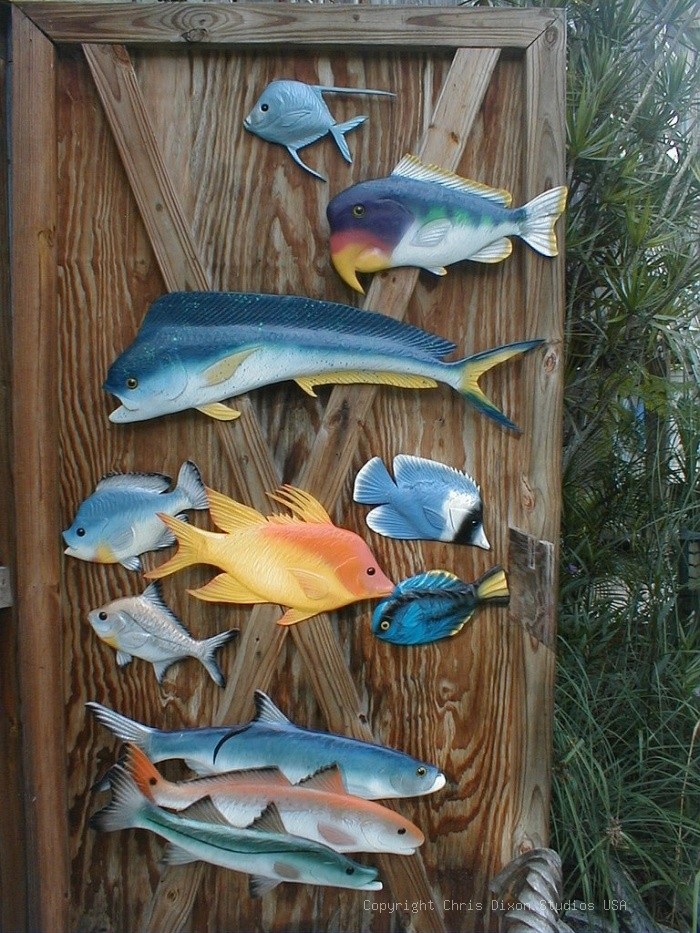 DoorFish
