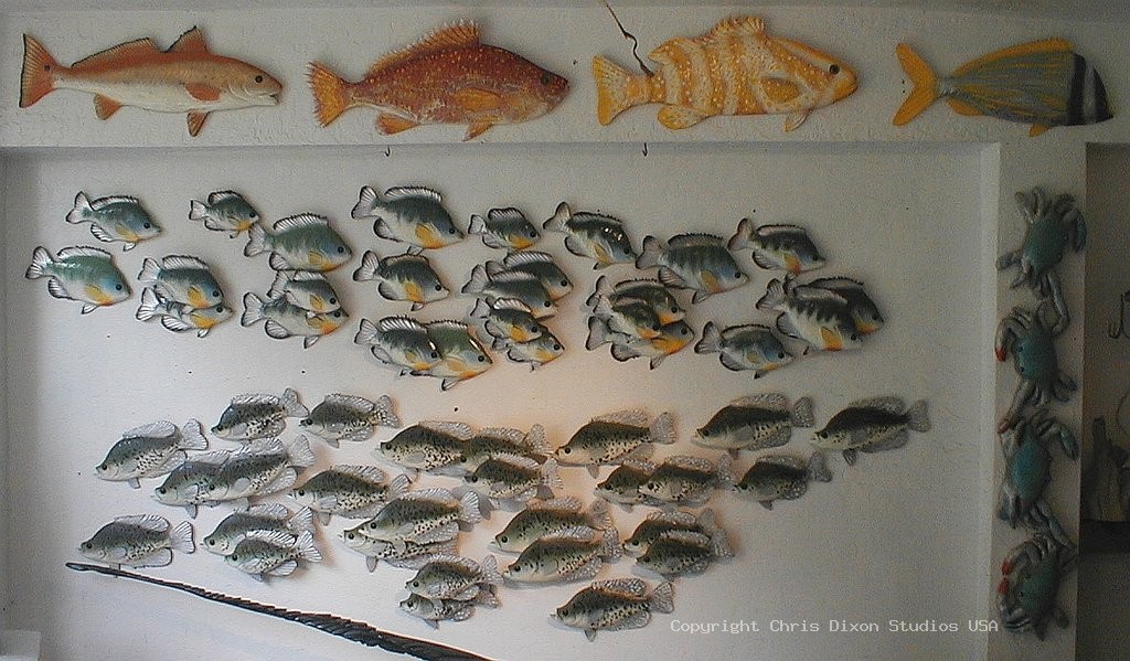 GrouperCrappySunFishSchools