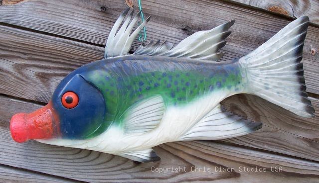 Hog Head Fish