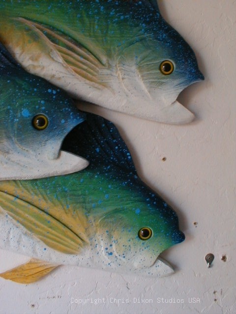 MahiMahi Hi