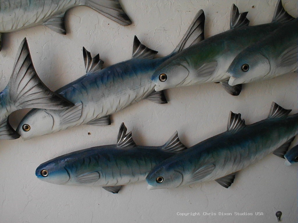 Mulletfish Close
