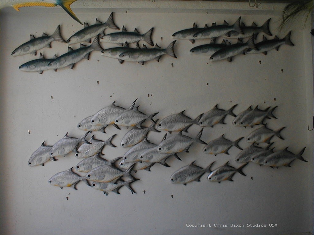 Pompano Mulletschool
