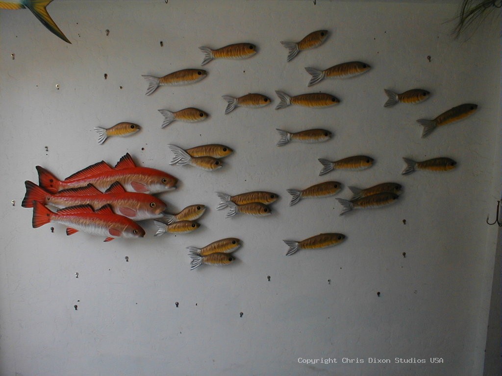 REDFISH SCHOOL Baitfish