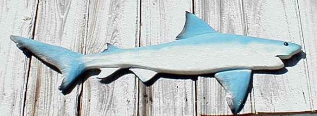 SHARK