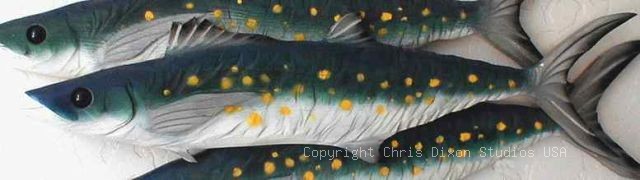 SPANISH MACKEREL