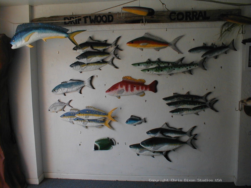 SaltwaterFishSchoolLeft