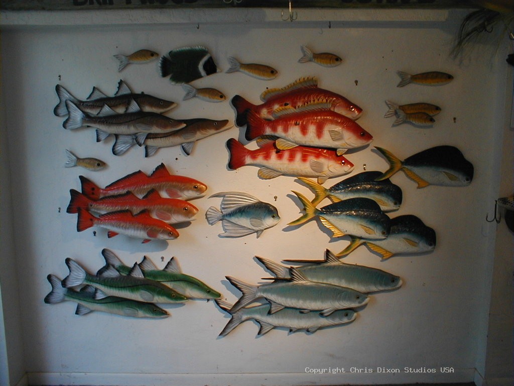 SaltwaterFishSchoolRight