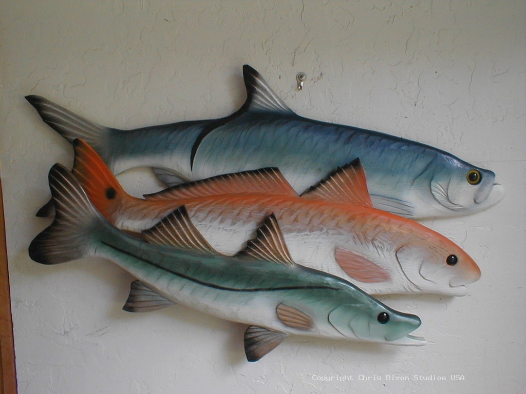 SnookRedTarponFish