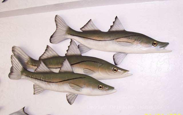 Snook Woodenfish