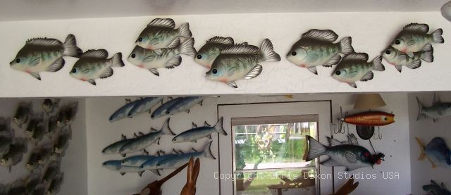 Sunfish Bluegill Woodenfish