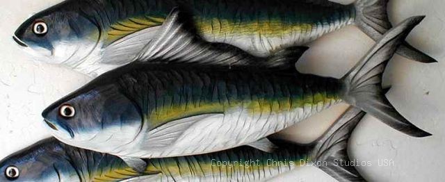 TUNA BLACKFIN 1