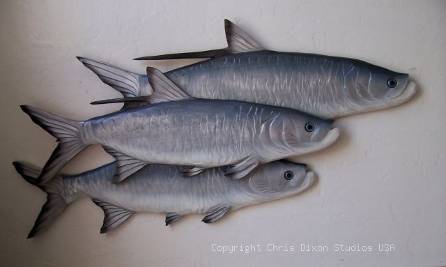 Tripple Tarpon Woodenfish