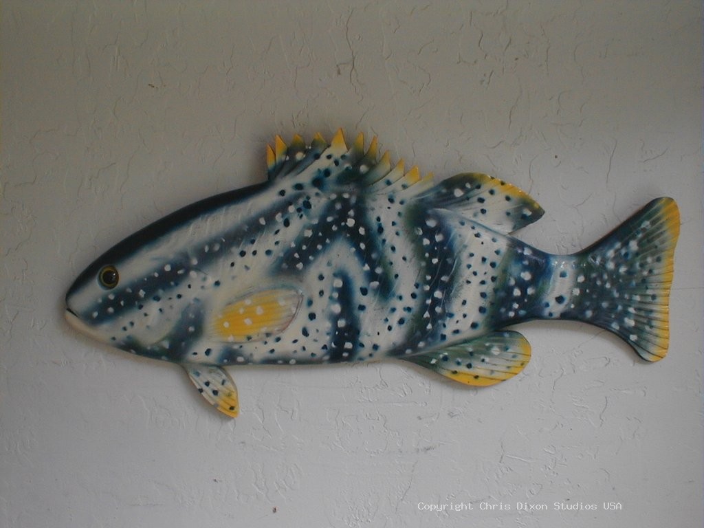 Grouper Nassau