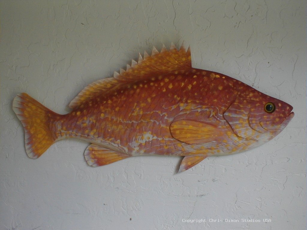 Grouper Red