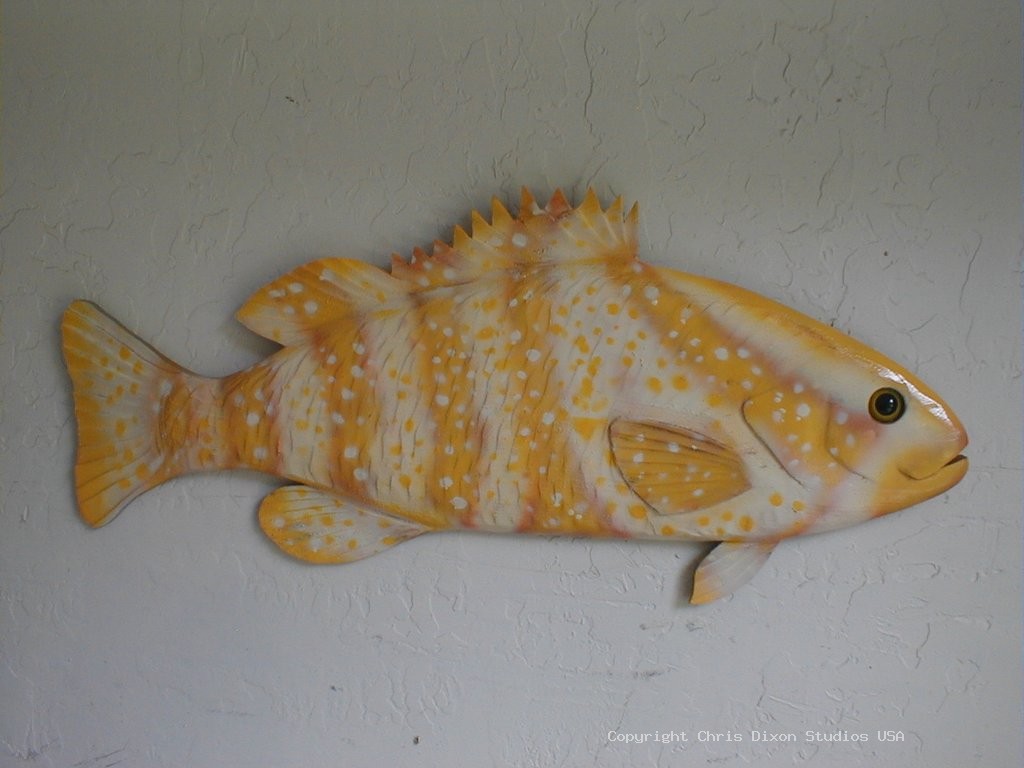 Grouper Yellow