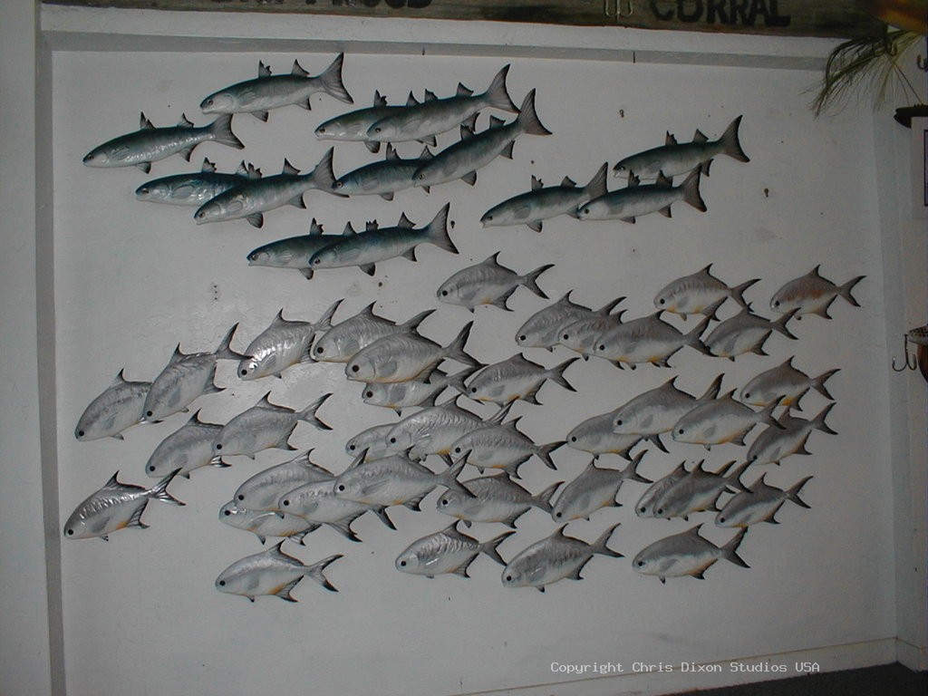 Pompano Mullet Fishschool