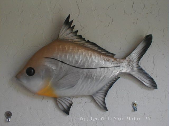 Sandbream Fish