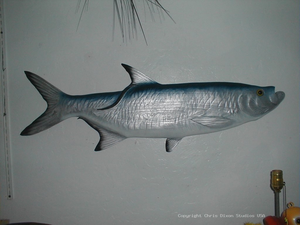 Tarpon Big