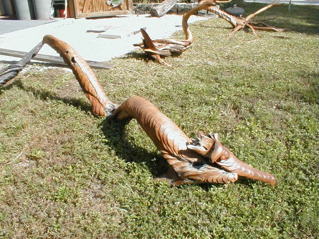 Dragon Wood