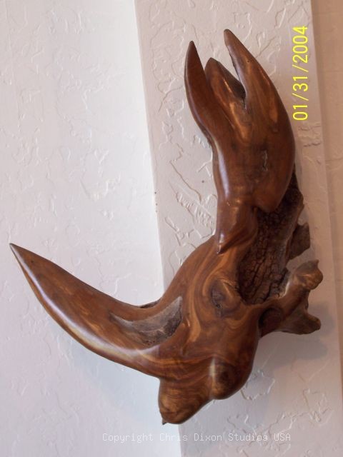 Fleeting Glimpse Woodcarving